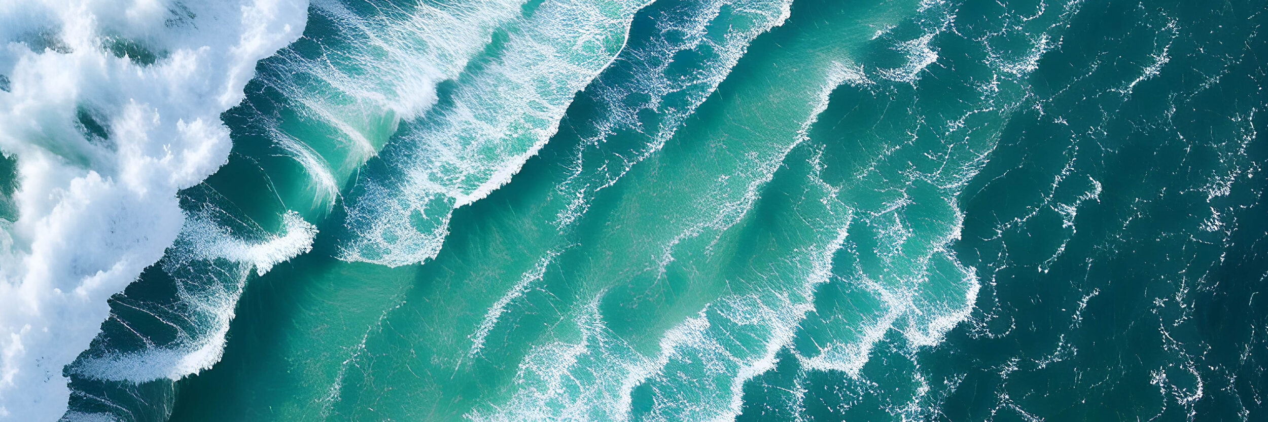 Celebrating World Ocean Day with 6 ways to protect marine life on land and at sea