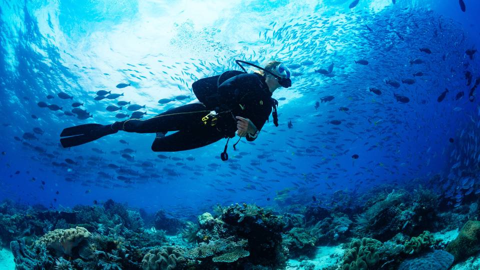 10 Spectacular Diving Destinations to Explore by Superyacht Charter